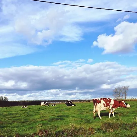 Ter Polders 2*